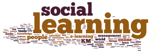 Social Learning